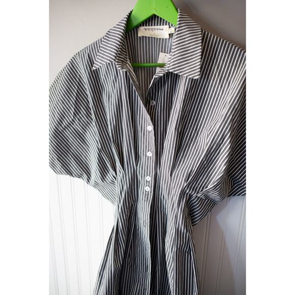 Anthropologie The Tobie Button-Front Pleated Shirt Dress Mini Edition Small - Picture 4 of 5